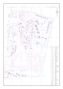 Hardcopy Plan of Mine Dump